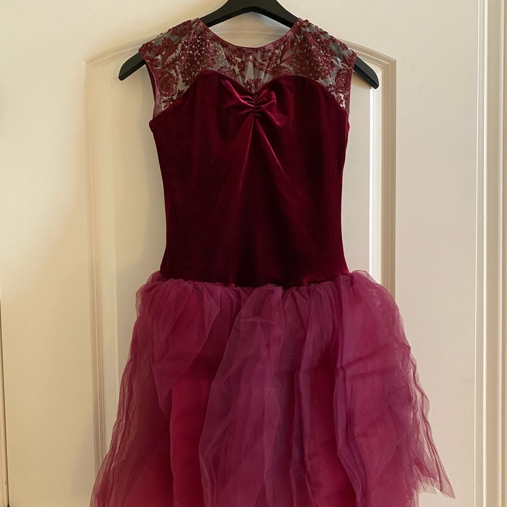 Tutu / Dance costume in Burgundy
